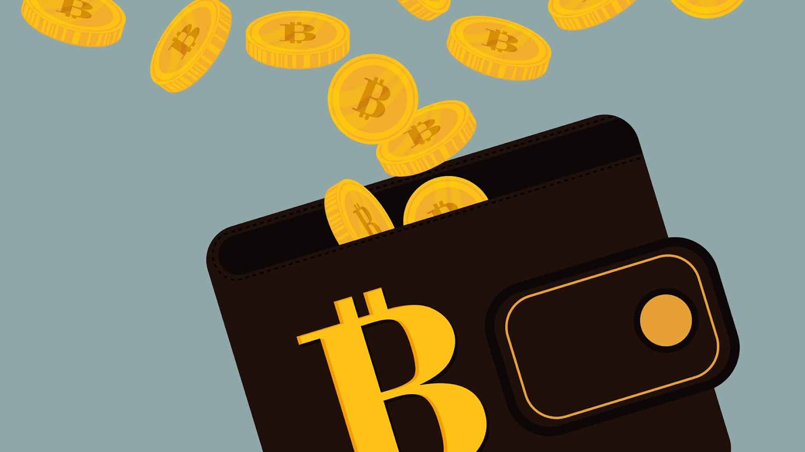 bitcoin interest wallet