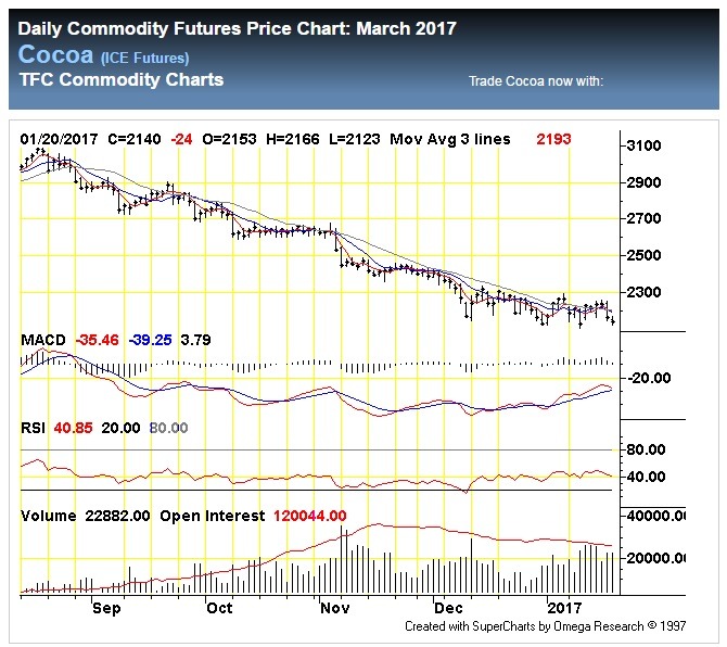 cocoa futures