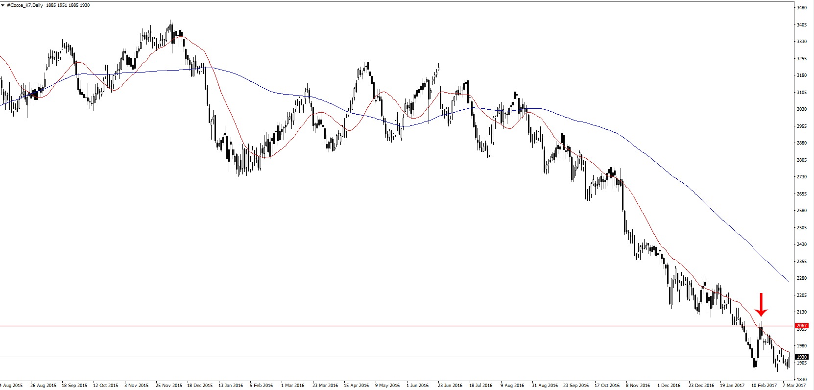 latest-cocoa