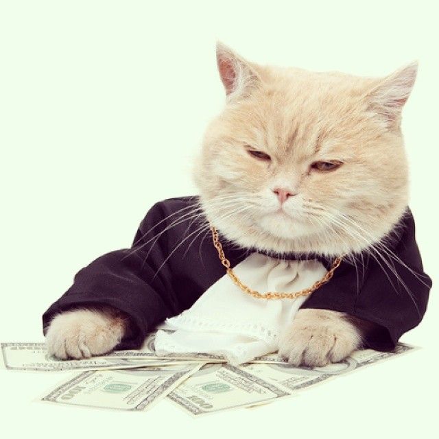 Common myths about forex