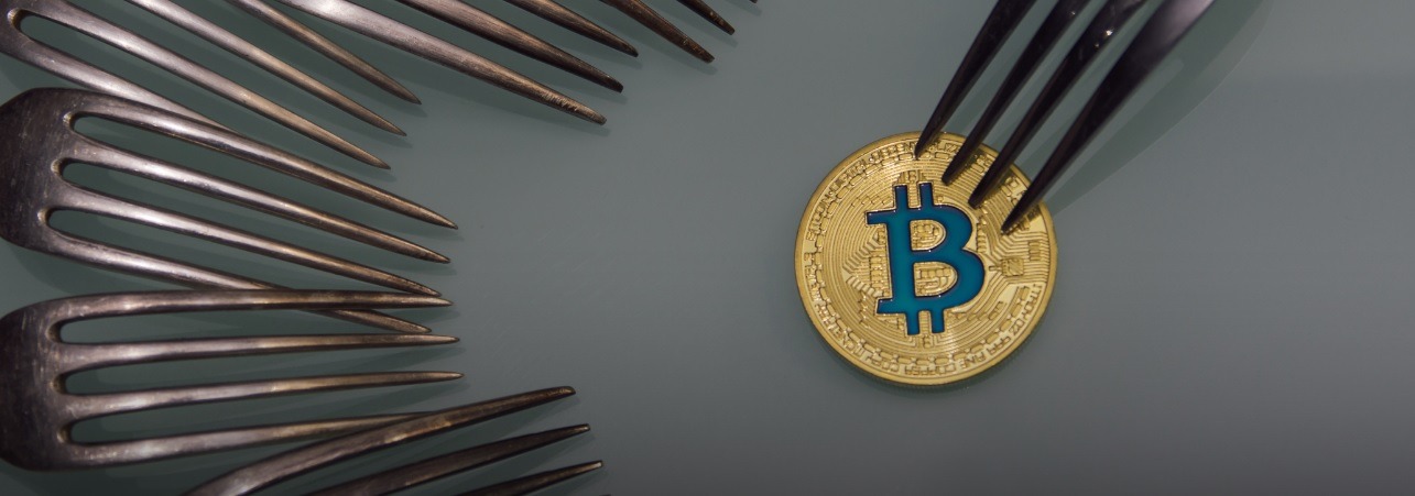 hard fork