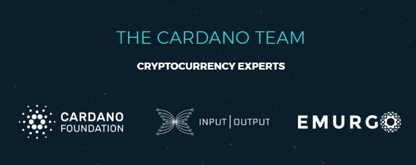 cardano team