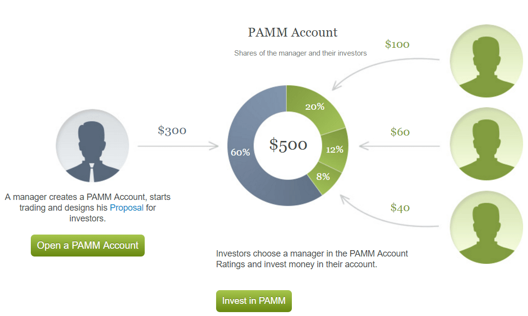 Pamm forex brokers list