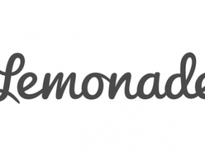 Lemonade offers a new approach to the insurance industry