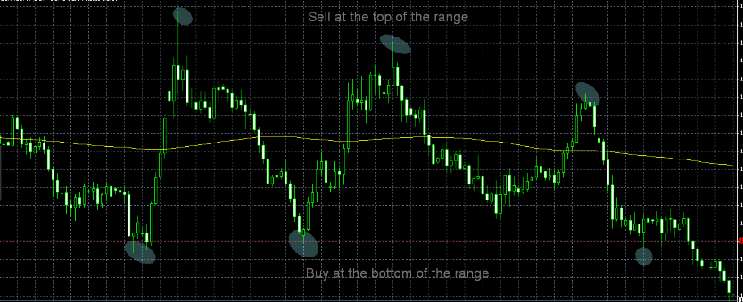 no loss forex trading strategy