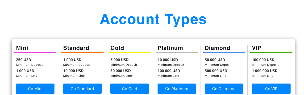 account types of 1market review