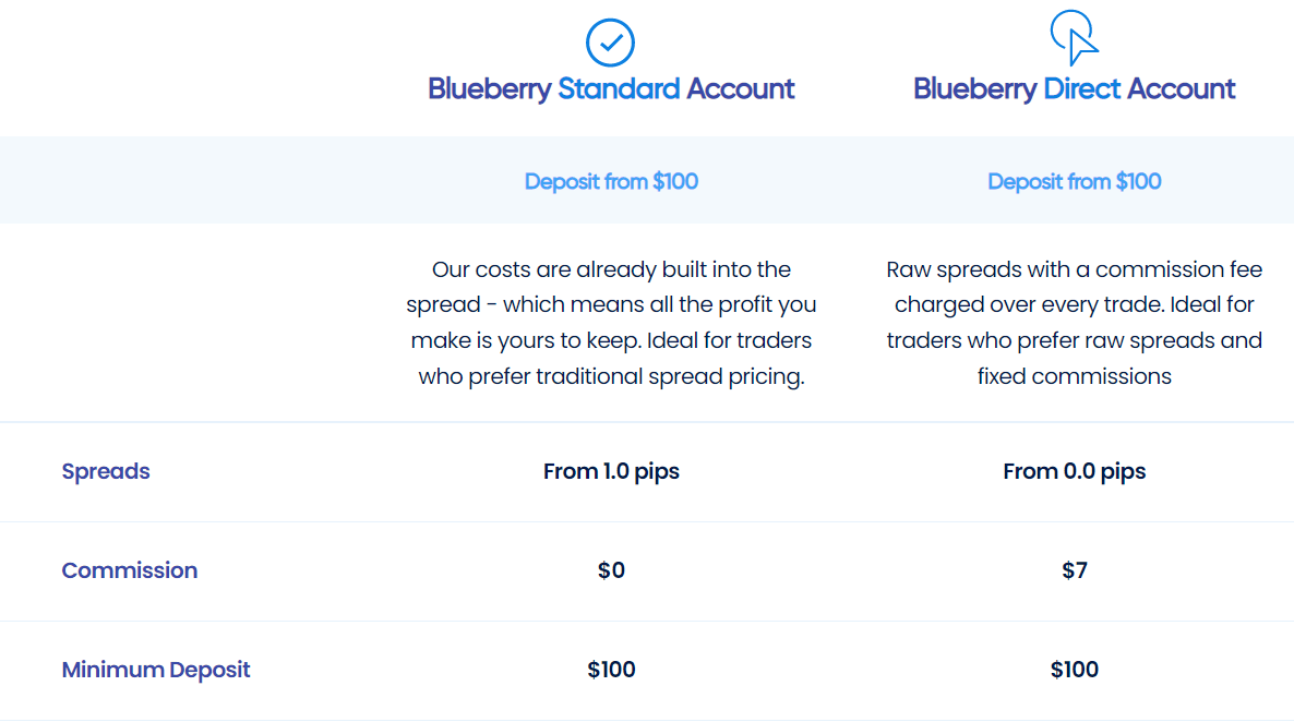 blueberry accounts