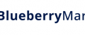 Blueberry markets review – Shall you trust this broker?