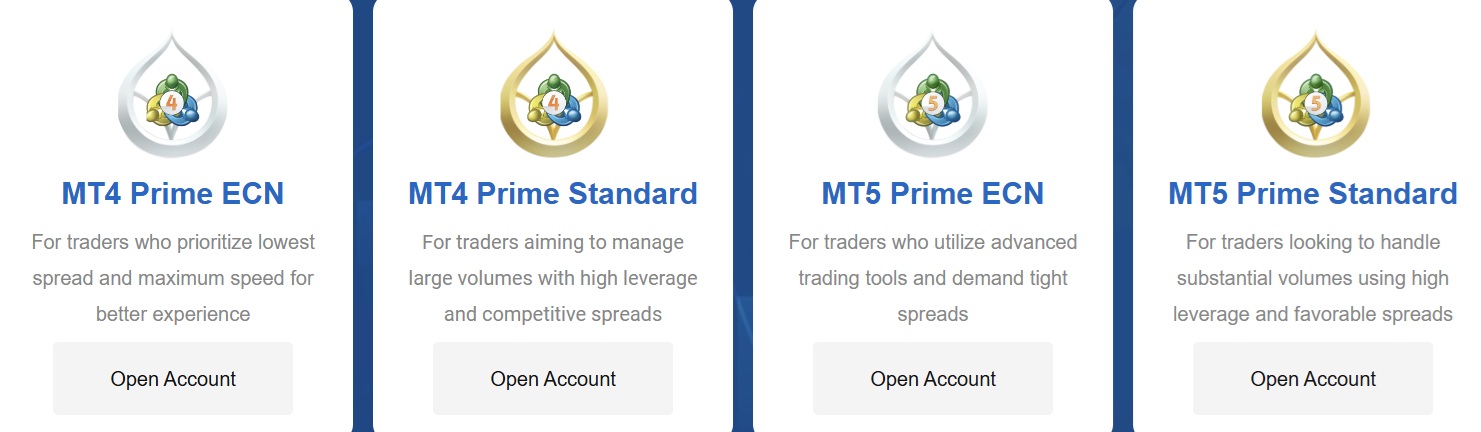 bold prime accounts